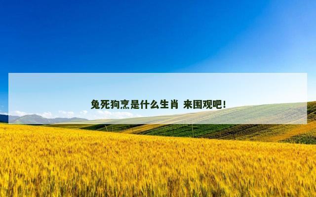 兔死狗烹是什么生肖 来围观吧！