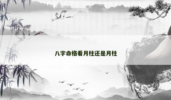 八字命格看月柱还是月柱