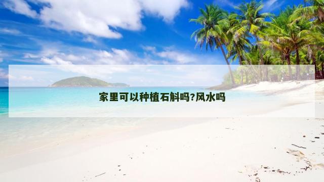 家里可以种植石斛吗?风水吗