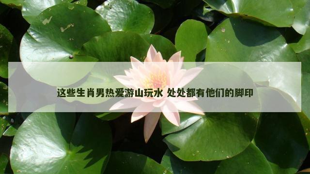 这些生肖男热爱游山玩水 处处都有他们的脚印