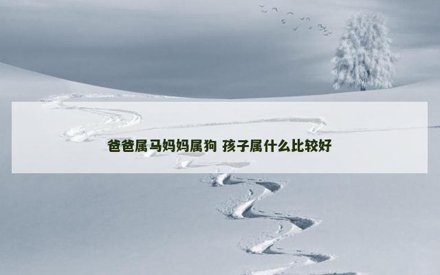 爸爸属马妈妈属狗 孩子属什么比较好