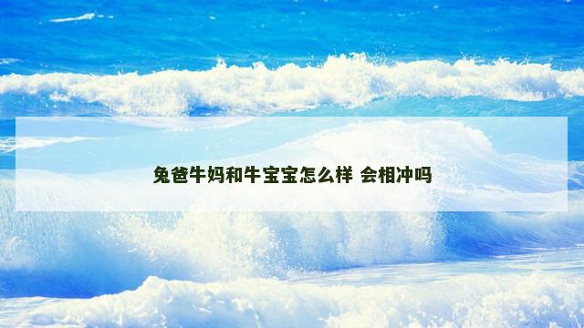 兔爸牛妈和牛宝宝怎么样 会相冲吗