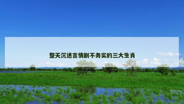 整天沉迷言情剧不务实的三大生肖