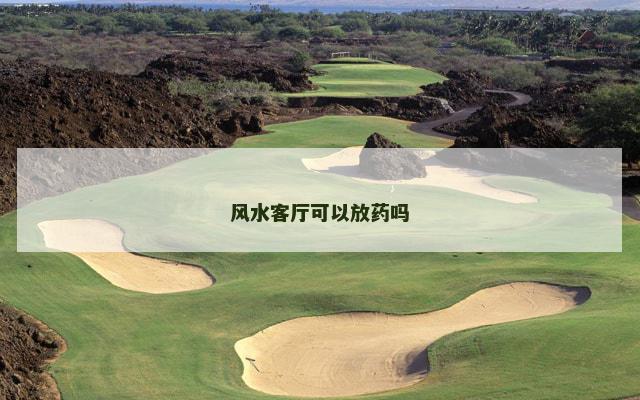 风水客厅可以放药吗