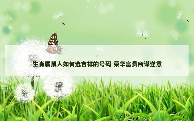 生肖属鼠人如何选吉祥的号码 荣华富贵所谋遂意