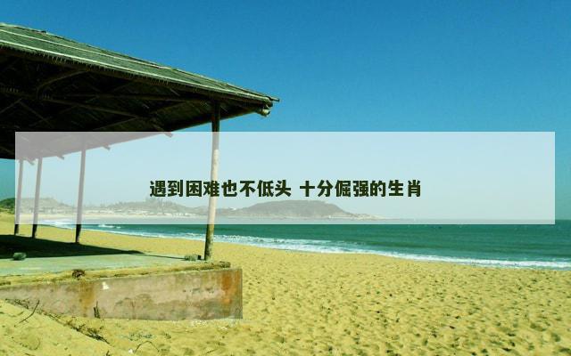 遇到困难也不低头 十分倔强的生肖