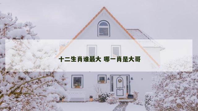 十二生肖谁最大 哪一肖是大哥