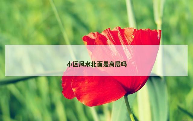 小区风水北面是高层吗