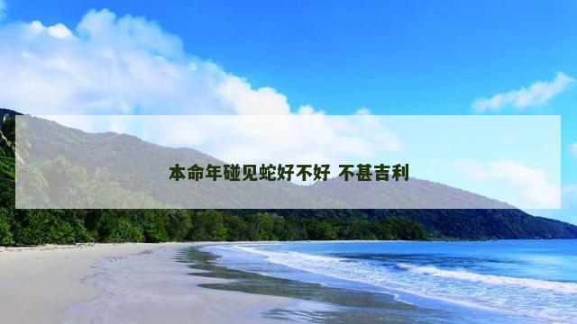 本命年碰见蛇好不好 不甚吉利
