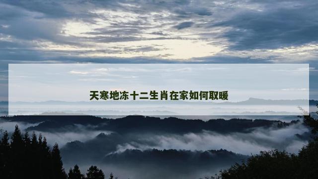 天寒地冻十二生肖在家如何取暖