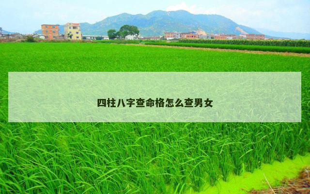 四柱八字查命格怎么查男女