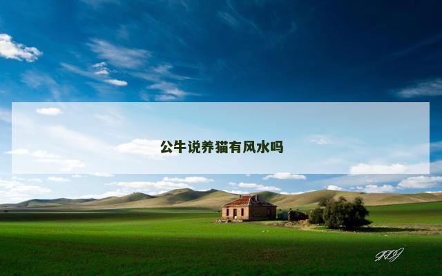 公牛说养猫有风水吗