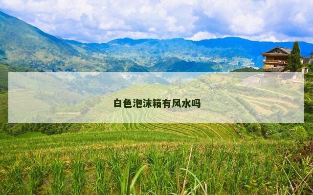 白色泡沫箱有风水吗 白色泡沫箱有风水吗