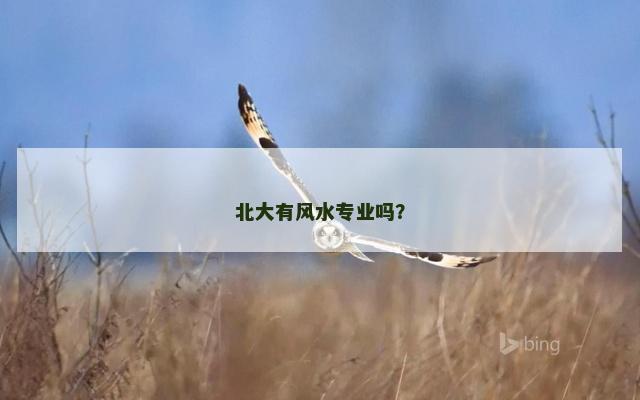 北大有风水专业吗? 北大有风水专业吗?