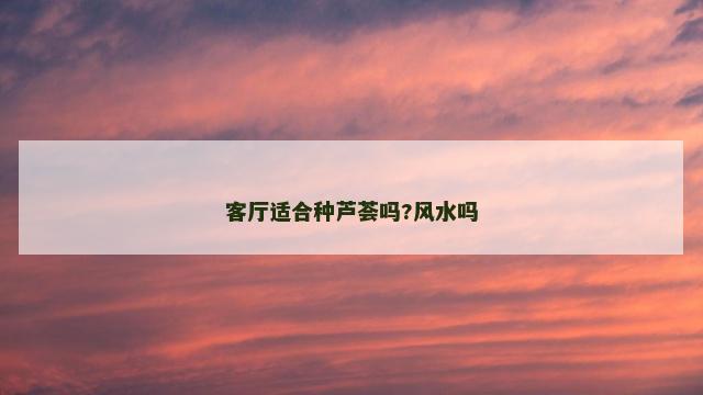 客厅适合种芦荟吗?风水吗