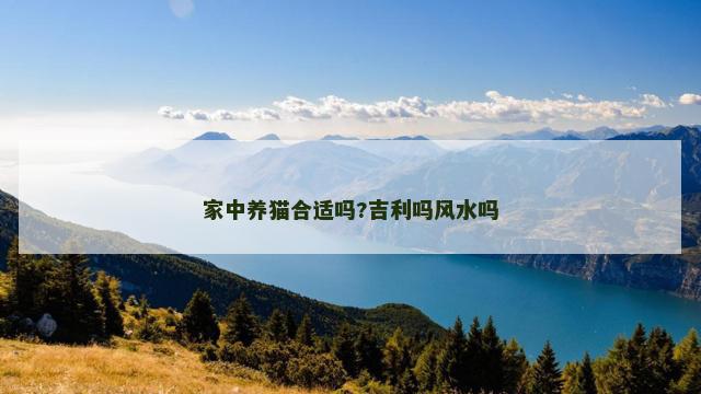 家中养猫合适吗?吉利吗风水吗