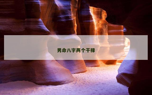男命八字两个干禄