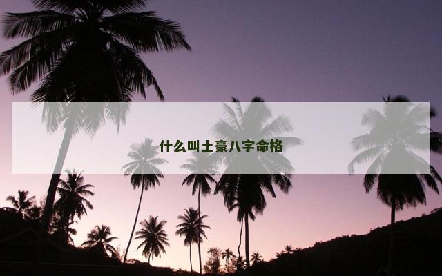 什么叫土豪八字命格