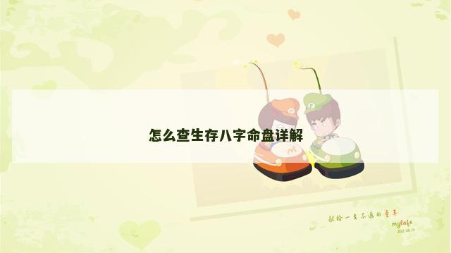怎么查生存八字命盘详解