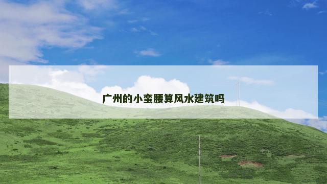 广州的小蛮腰算风水建筑吗