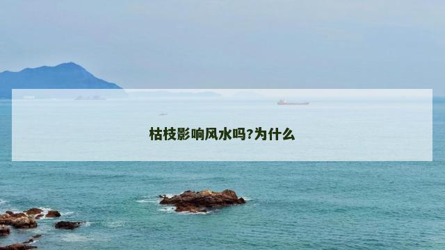 枯枝影响风水吗?为什么