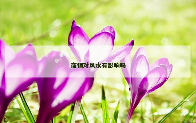 商铺对风水有影响吗