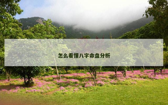 怎么看懂八字命盘分析 怎么看懂八字命盘分析