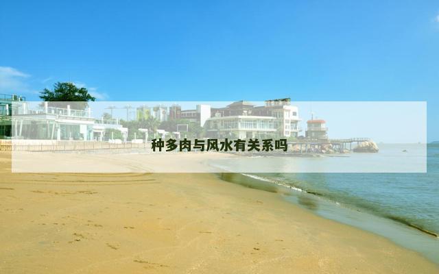 种多肉与风水有关系吗