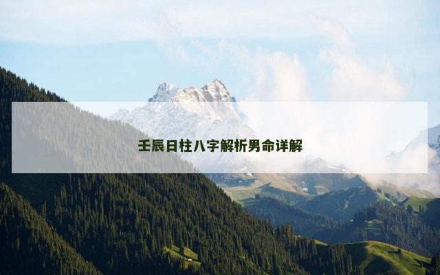 壬辰日柱八字解析男命详解