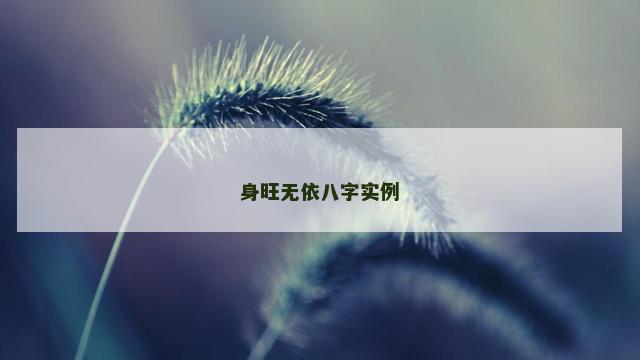 身旺无依八字实例