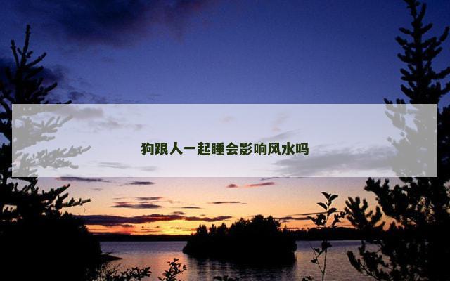 狗跟人一起睡会影响风水吗