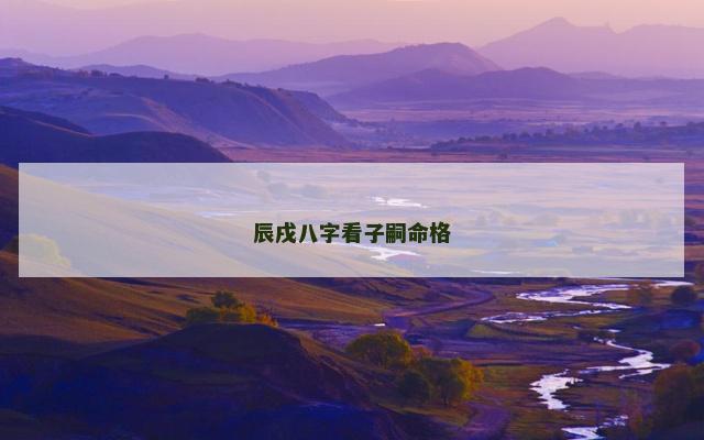 辰戌八字看子嗣命格 辰戌八字看子嗣命格