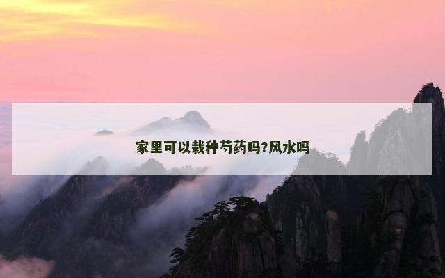 家里可以栽种芍药吗?风水吗 家里可以栽种芍药吗?风水吗