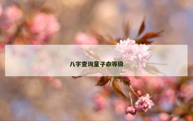八字查询童子命等级