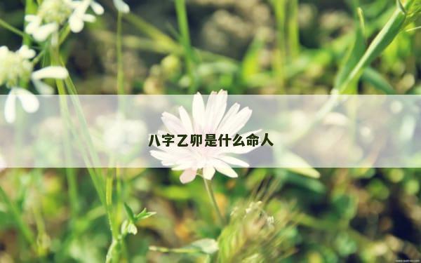 八字乙卯是什么命人