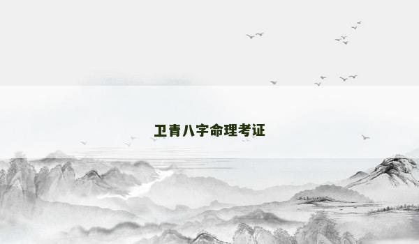 卫青八字命理考证