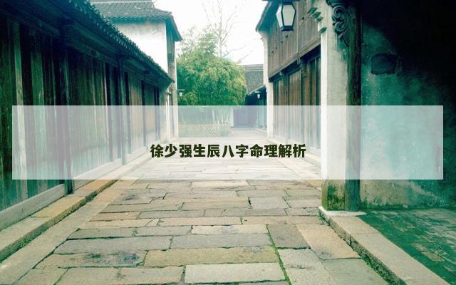 徐少强生辰八字命理解析