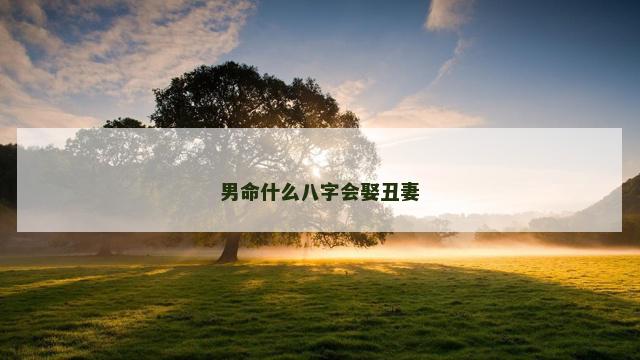 男命什么八字会娶丑妻