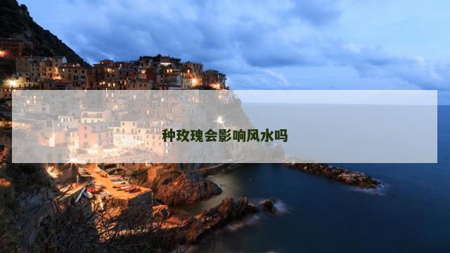 种玫瑰会影响风水吗