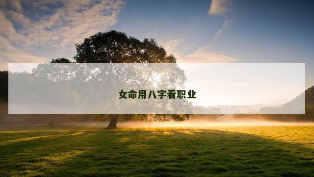 女命用八字看职业 女命用八字看职业