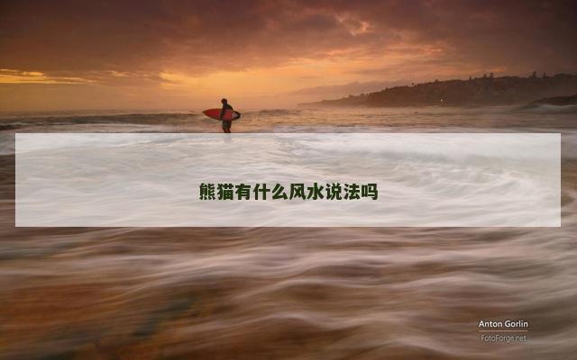 熊猫有什么风水说法吗