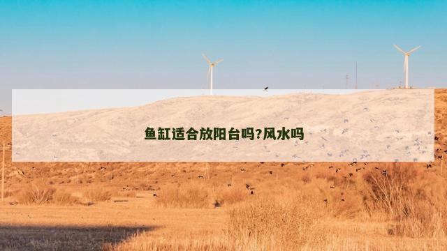 鱼缸适合放阳台吗?风水吗 鱼缸适合放阳台吗?风水吗