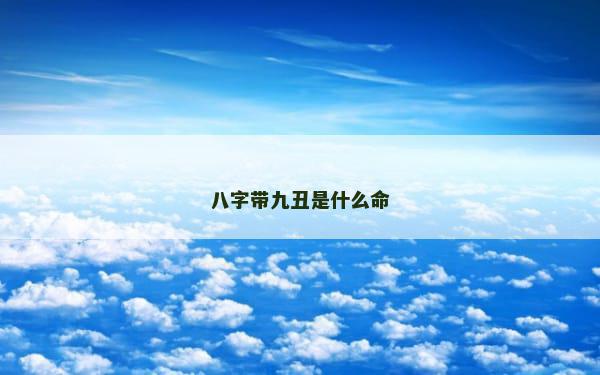 八字带九丑是什么命