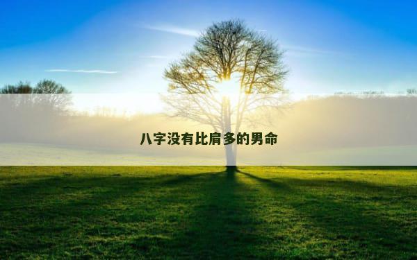 八字没有比肩多的男命 八字没有比肩多的男命