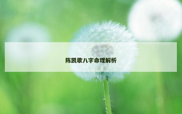 陈凯歌八字命理解析 陈凯歌八字命理解析