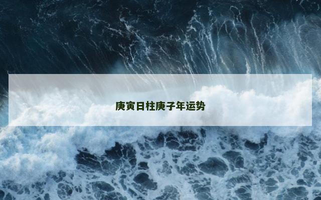庚寅日柱庚子年运势 庚寅日柱庚子年运势