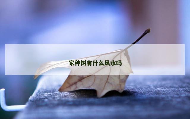 家种树有什么风水吗 家种树有什么风水吗